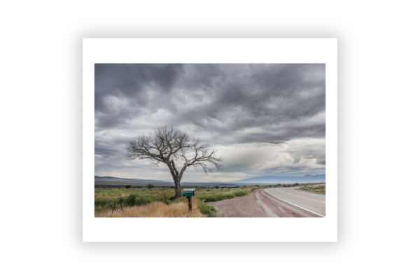 Stormy Taos Tree - Photo Prints - Image 5