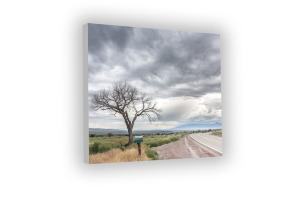 Stormy Taos Tree - Photo Prints - Image 7