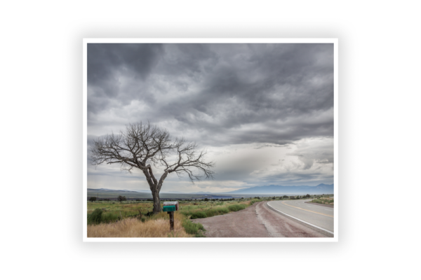 Stormy Taos Tree - Photo Prints - Image 3