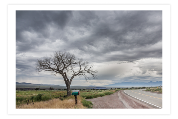 Stormy Taos Tree - Photo Prints - Image 4