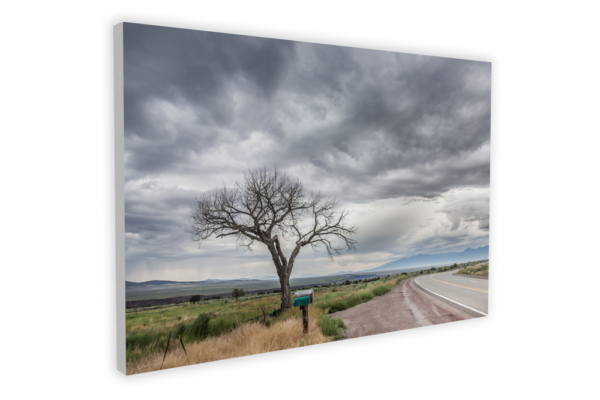 Stormy Taos Tree - Photo Prints - Image 6