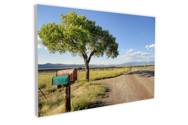 Summer Taos Tree - Photo Prints - Image 6