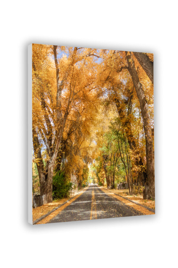 Burch Street in fall - Photo Prints - Image 7