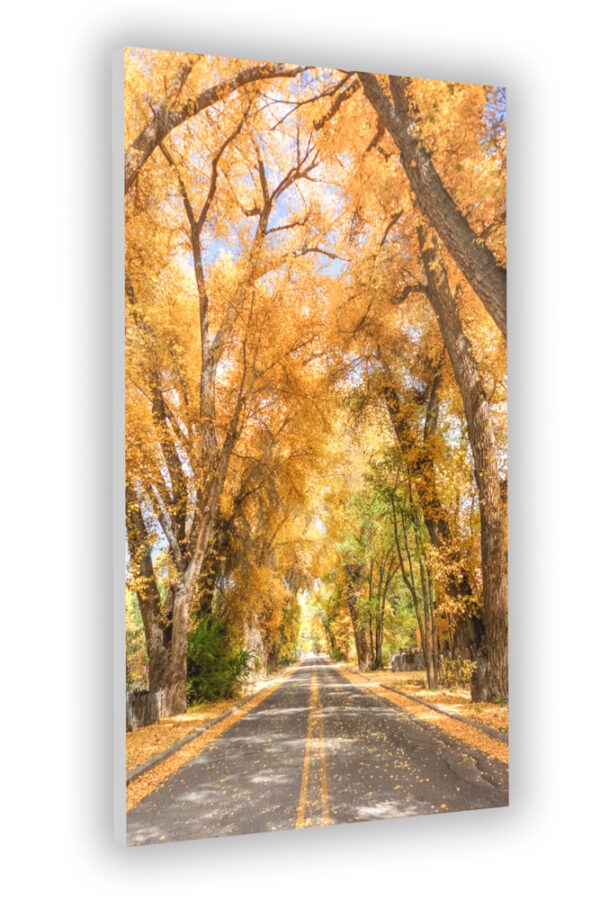 Burch Street in fall - Photo Prints - Image 9