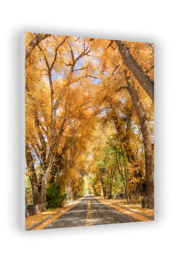 Burch Street in fall - Photo Prints - Image 4