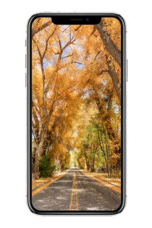 Product photo rendering of Iphone with the Burch street in fall picture as the background.