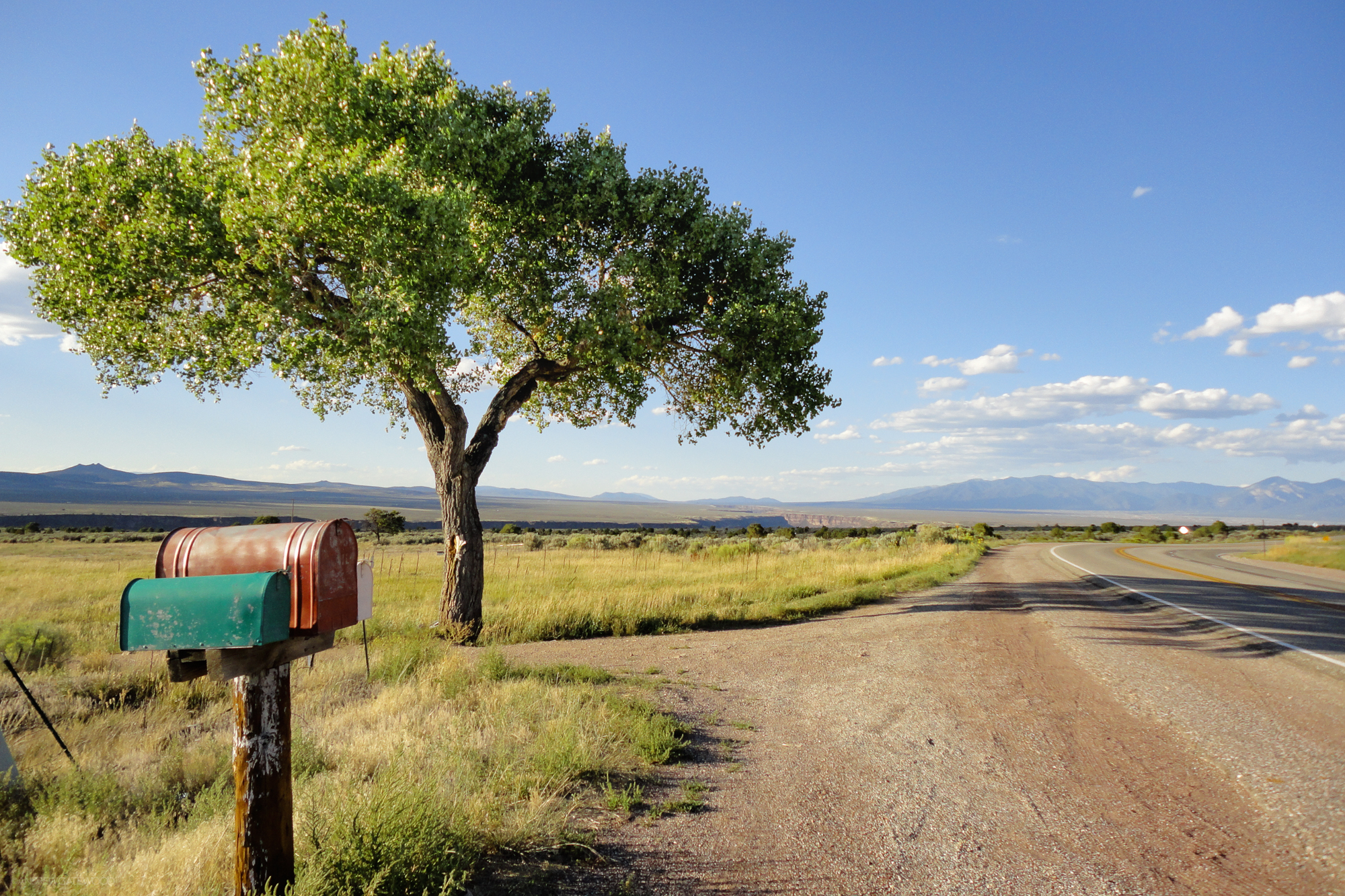 ©AndrewGatewood, Taos, New Mexico, Taos Tree, roadside, highway, tree, mailbox, summer, photography, mountains, canyon, gorge, Taos Gorge, Andrew Gatewood