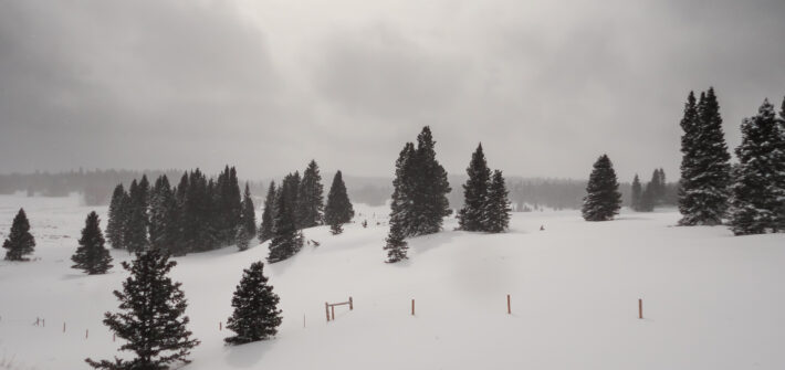 A picture of a winter scene in Northern New Mexico.