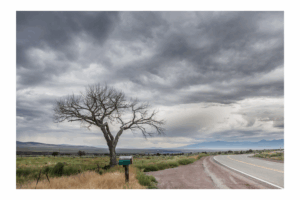 Stormy Taos Tree - Photo Prints