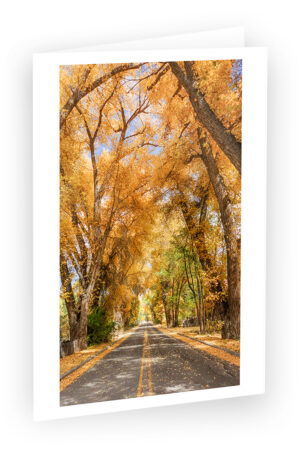 Photo Greeting Cards